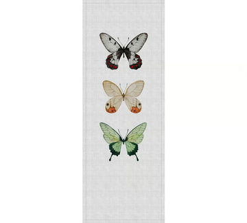 BUZZ - Digital printing wallpaper strip by Architects Paper - view 3